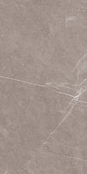  1070 Monte Taupe CARV