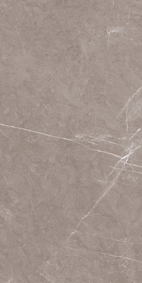  1070 Monte Taupe CARV