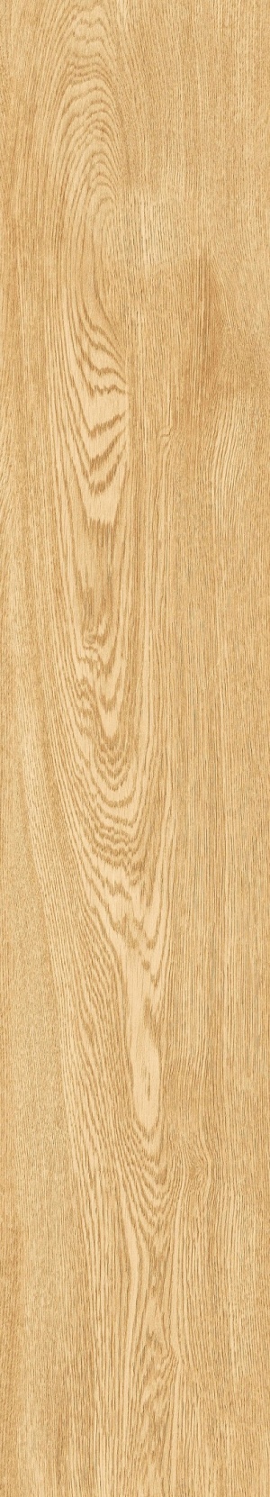  1064 Parma Honey MATT