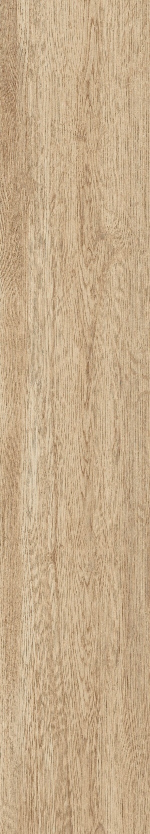 1061 Parma Miele MATT
