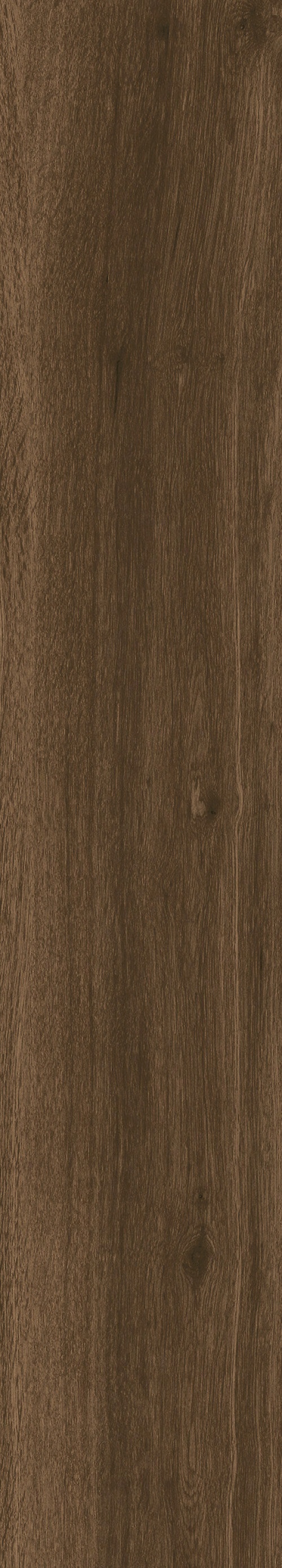  2183 Parma Brown MATT