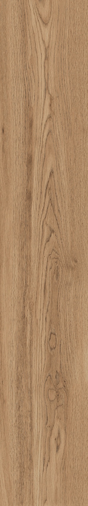  1106 Modena Brown MATT