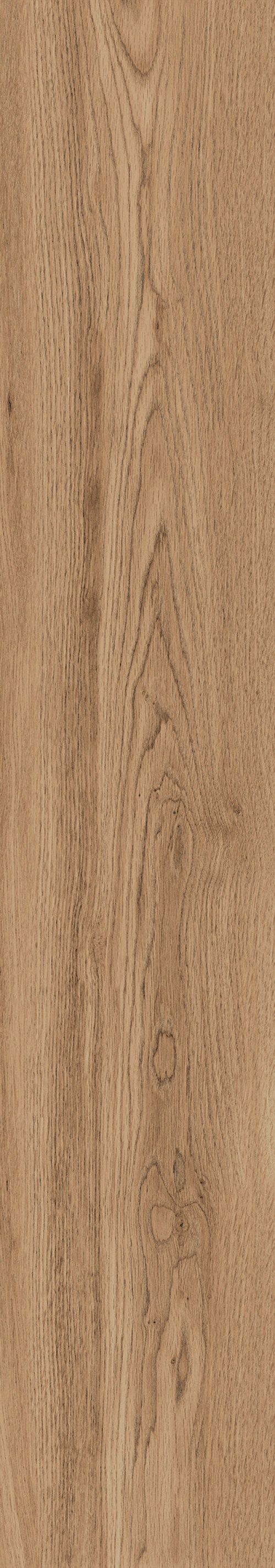  1106 Modena Brown MATT