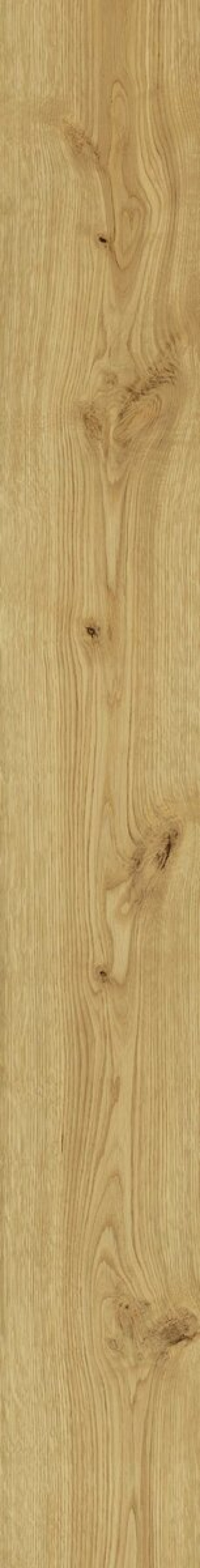  AL87 Exence Almond