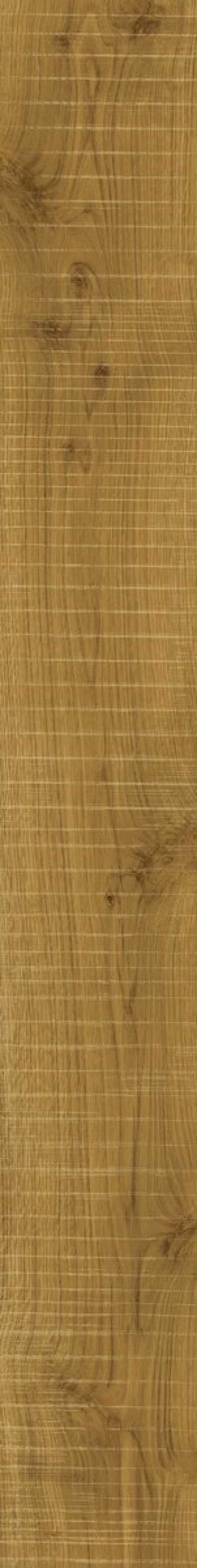  AOUM Exence Amber Saw Cut