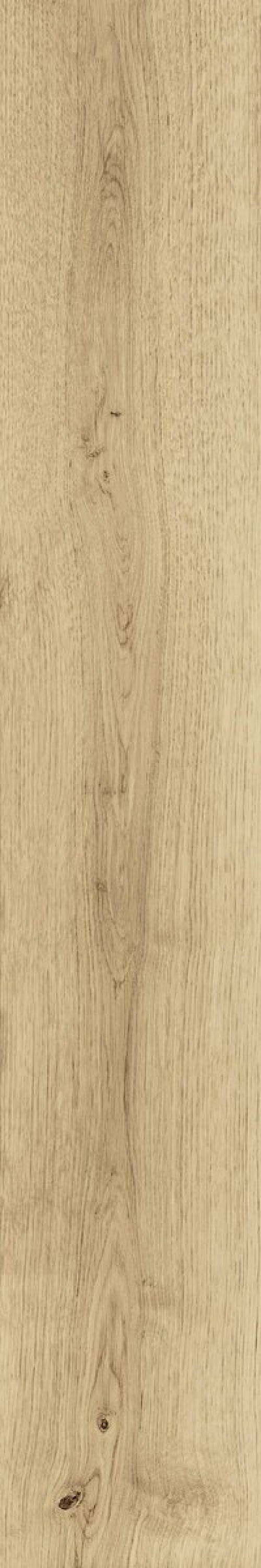  AO47 Exence Vanilla