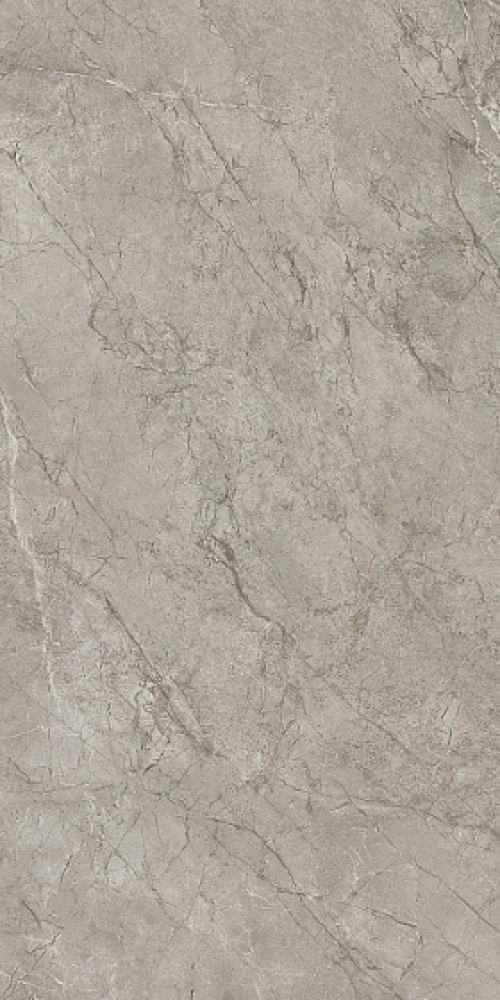  AJHV Marvel Meraviglia Silver Majestic Lappato