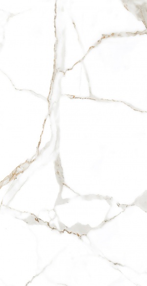  F3020821120G Calacata Carve Glossy