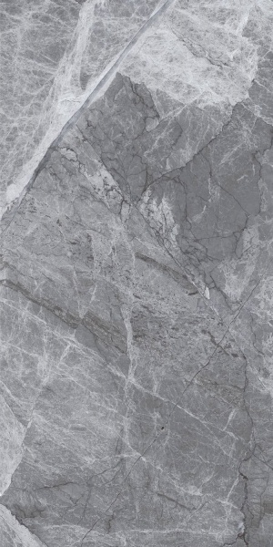  P231123010G Maple Axis Grey Glossy