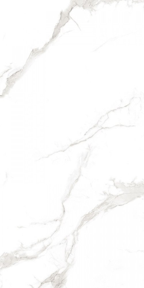  F4110821124G Martin Grey Glossy