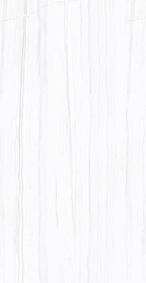  F2070821120G Salent Grey Glossy