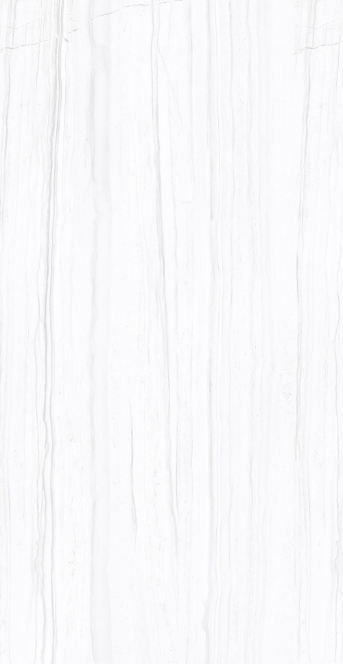  F2070821120G Salent Grey Glossy