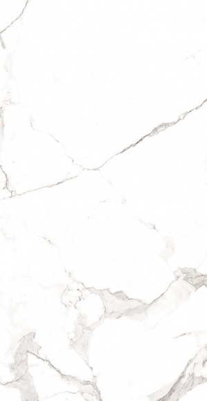  F2020821120M Statuario Classic Matt