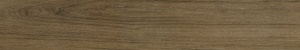  Blues Oak