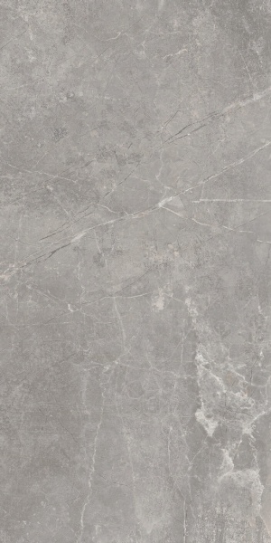  Concept Gray