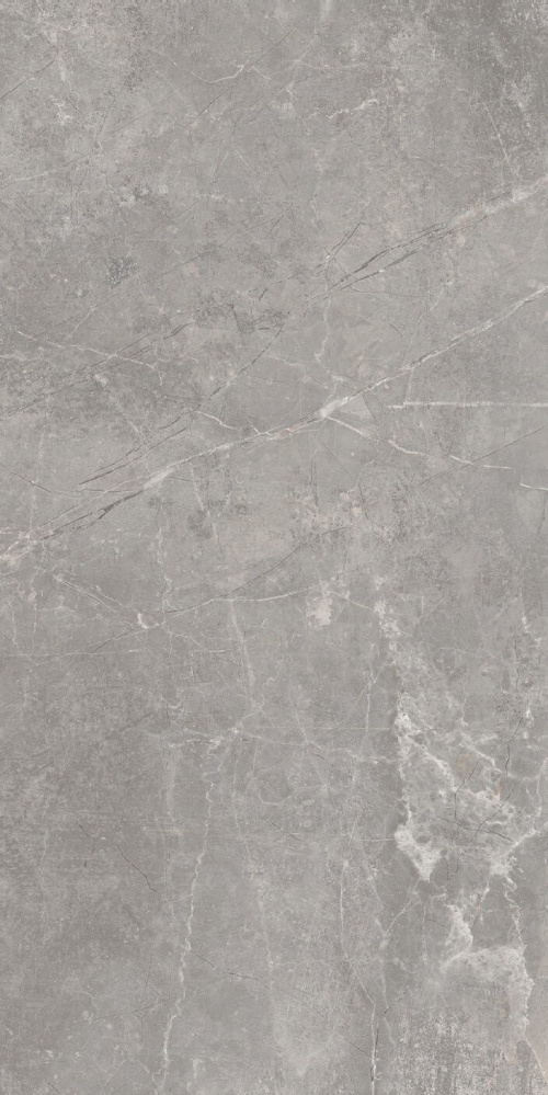  Concept Gray