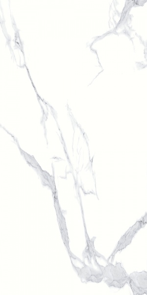  BHW-0021 Calacatta White full body polished (sinking ink)