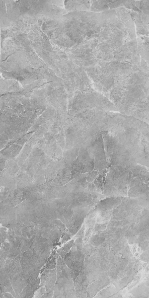  Ambition Grey Glossy