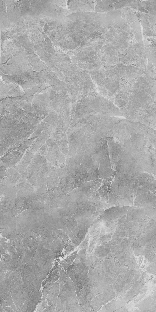  Ambition Grey Glossy