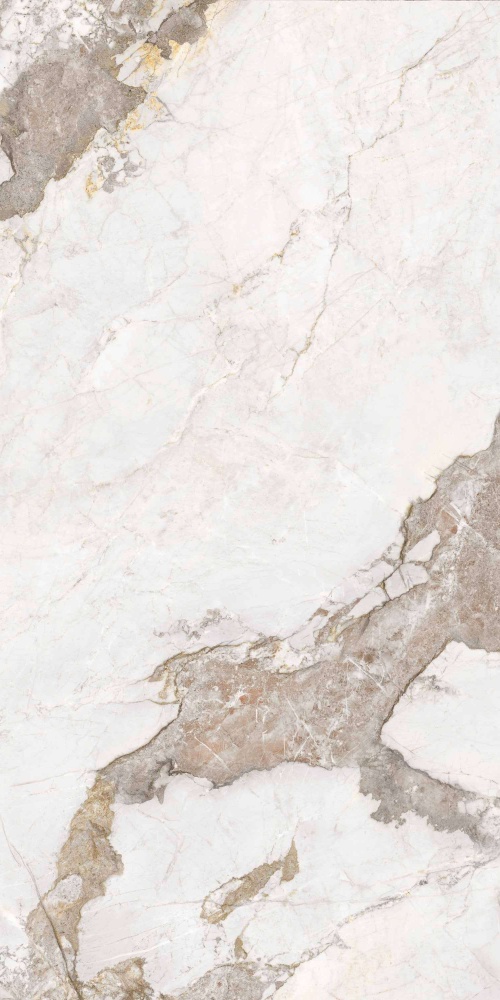  Colonia Brown (Carving)