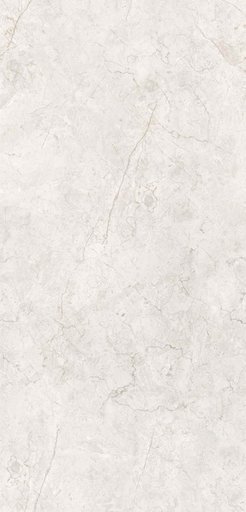  Panama Silver Carving