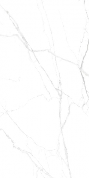  RS 159 (Carving)