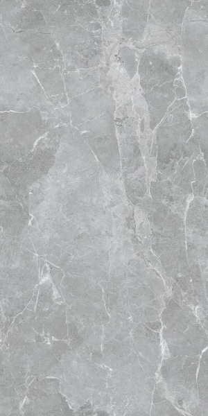  RS 161 Gris Endless (Carving)