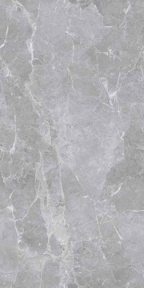  RS 161 Gris Endless (Velvet)