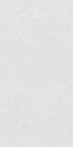  RS 123 White (Carving)