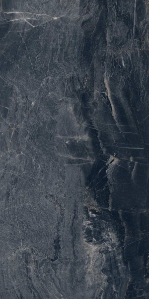  Shell Black (Vitro)