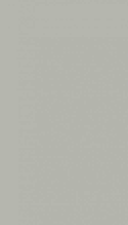  Paint Light Grey connect