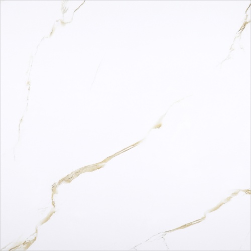  Golden Carrara