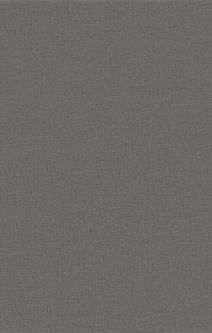  Plane textile grey carbon matt connect