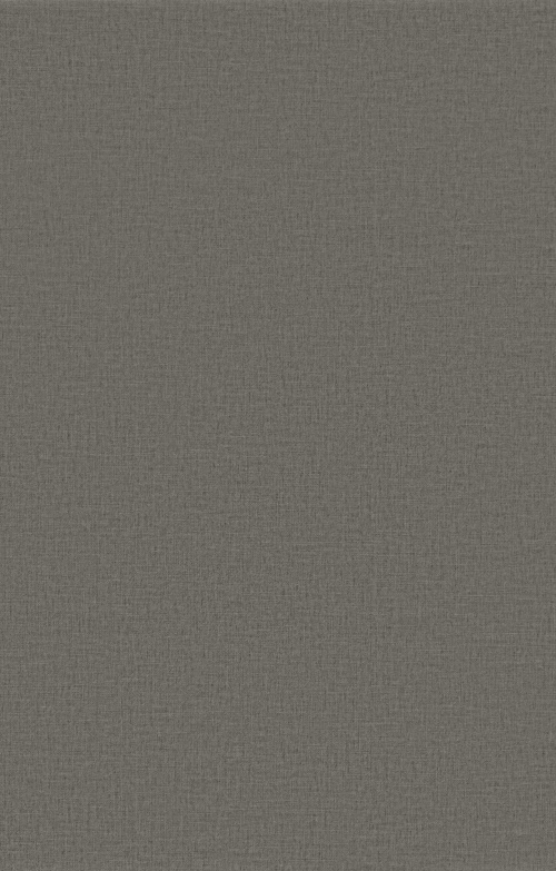  Plane textile grey carbon matt connect
