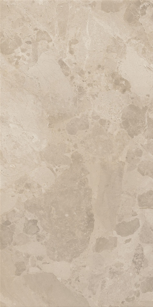  Bloomstone Shell Rt