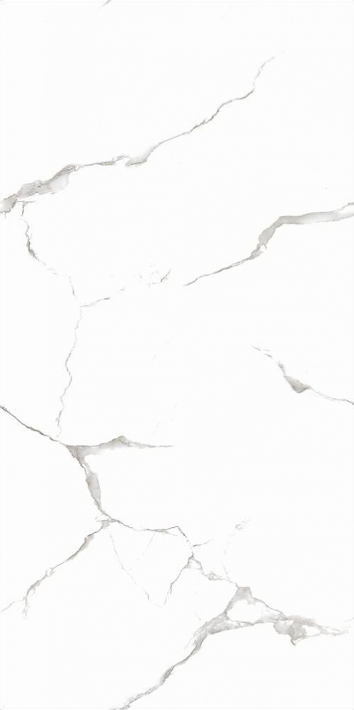  Silver White