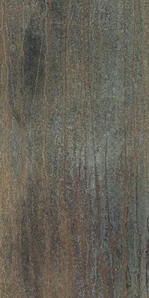  Dripart Bronze