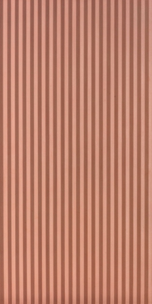  05983 Homey Cannete Rose
