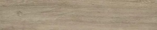  Catalea beige