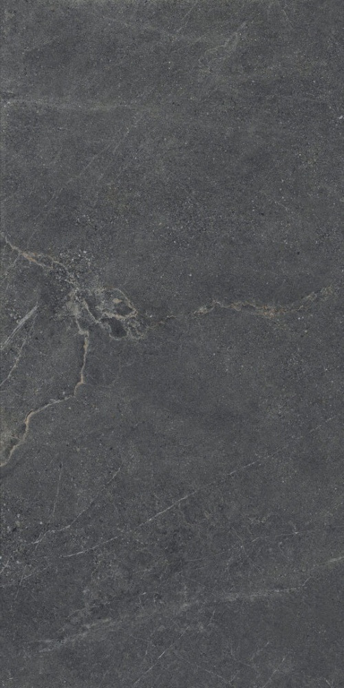  Distinct Graphite Silky Cristal