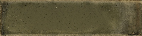  Jazba Olive Brillo