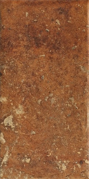  1080484 Cotto Dorato