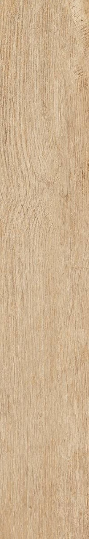  231031 Woodside Honey