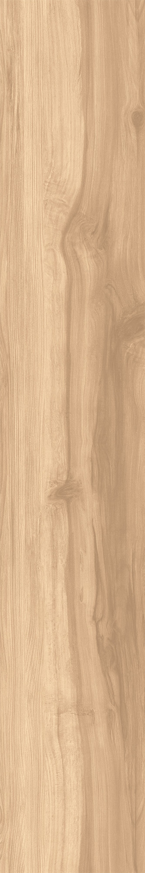  CW-RT09-B Fossil Wood Brich RT