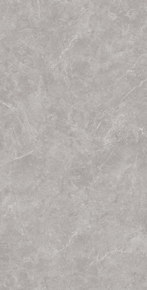  SL1002-A Oviedo Gris Solido