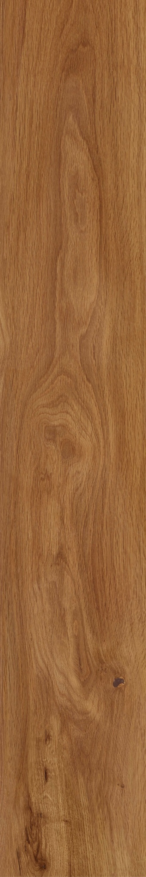  FR01 Forest Amber
