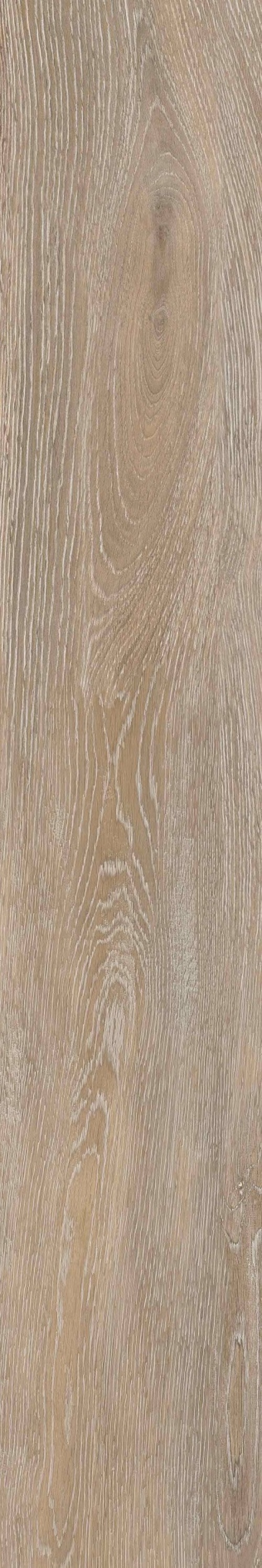  FR02 Forest Beige