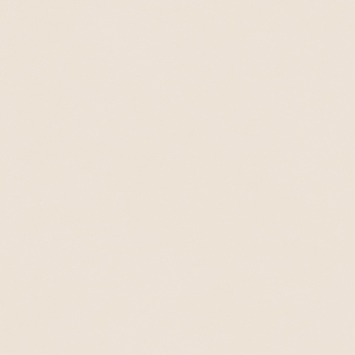  Concept Cream