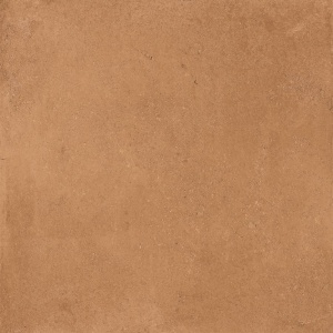  Concept Mustard