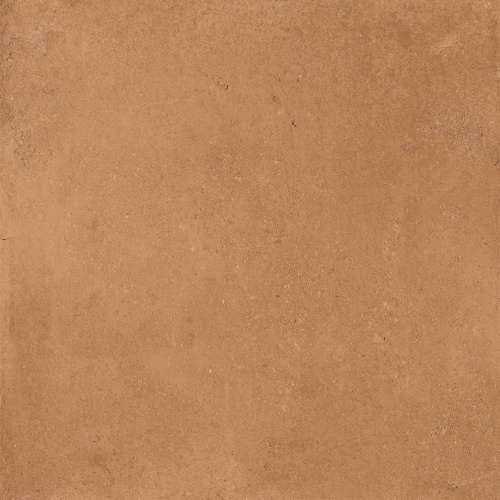  Concept Mustard